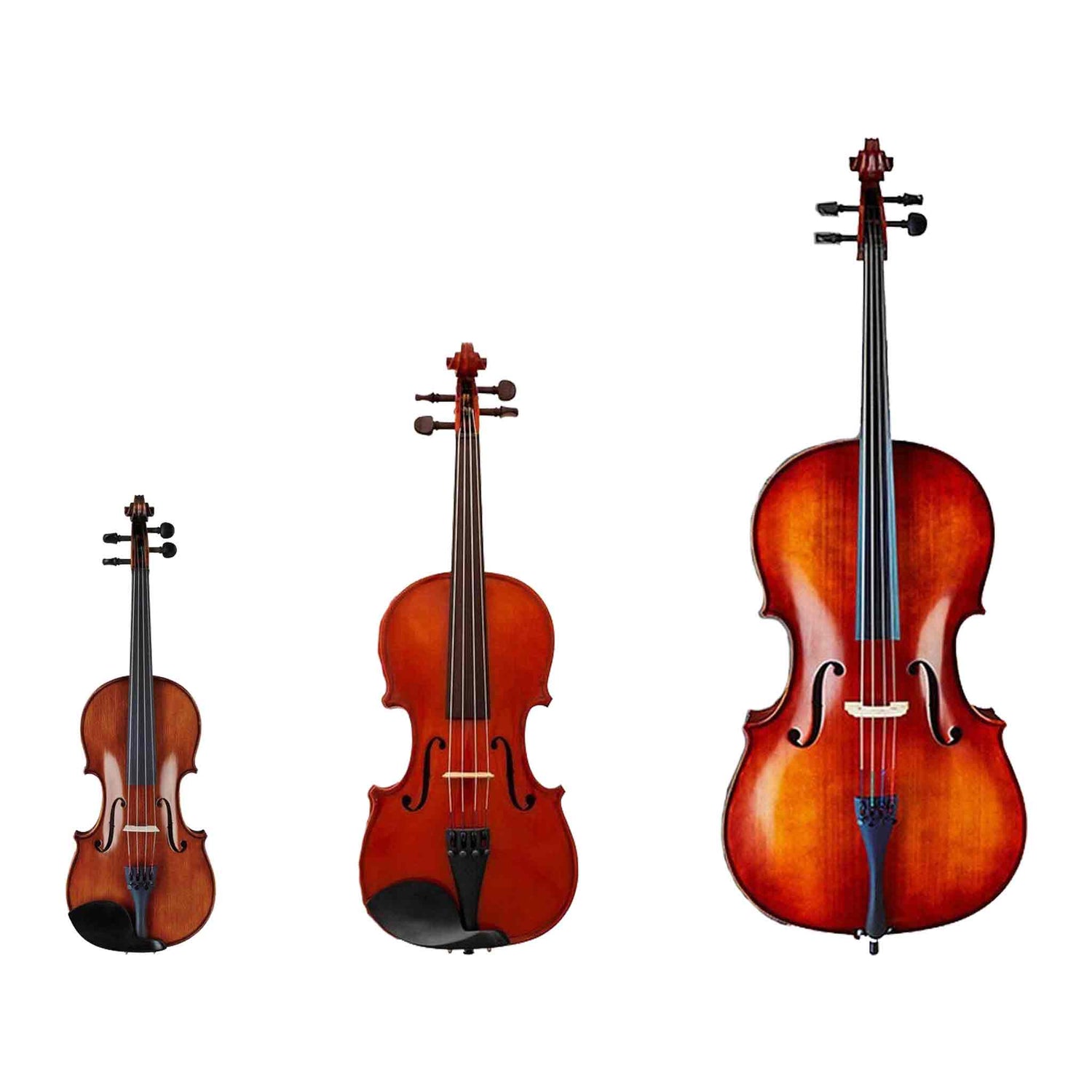 Orchestra Instruments - Violin, Viola, Cello | Andy's Music