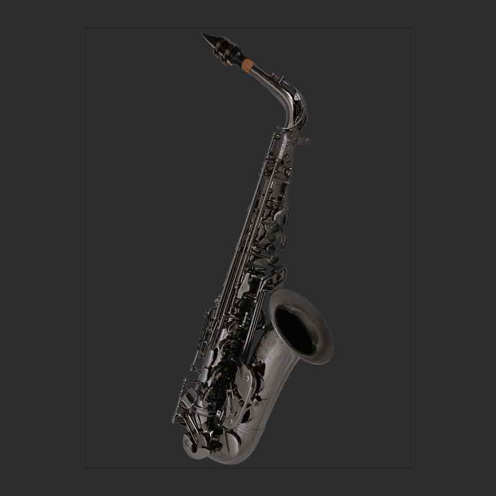 Pre-Owned Cannonball A5-B Big Bell Stone Series Premium Alto Sax - Polished Black-Nickel-Andy's Music