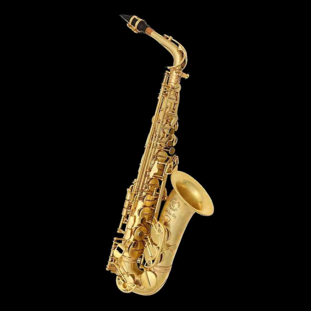 Pre-Owned Cannonball Mad Meg Pro Alto Saxophone Big Bell Stone Series A4-Andy's Music