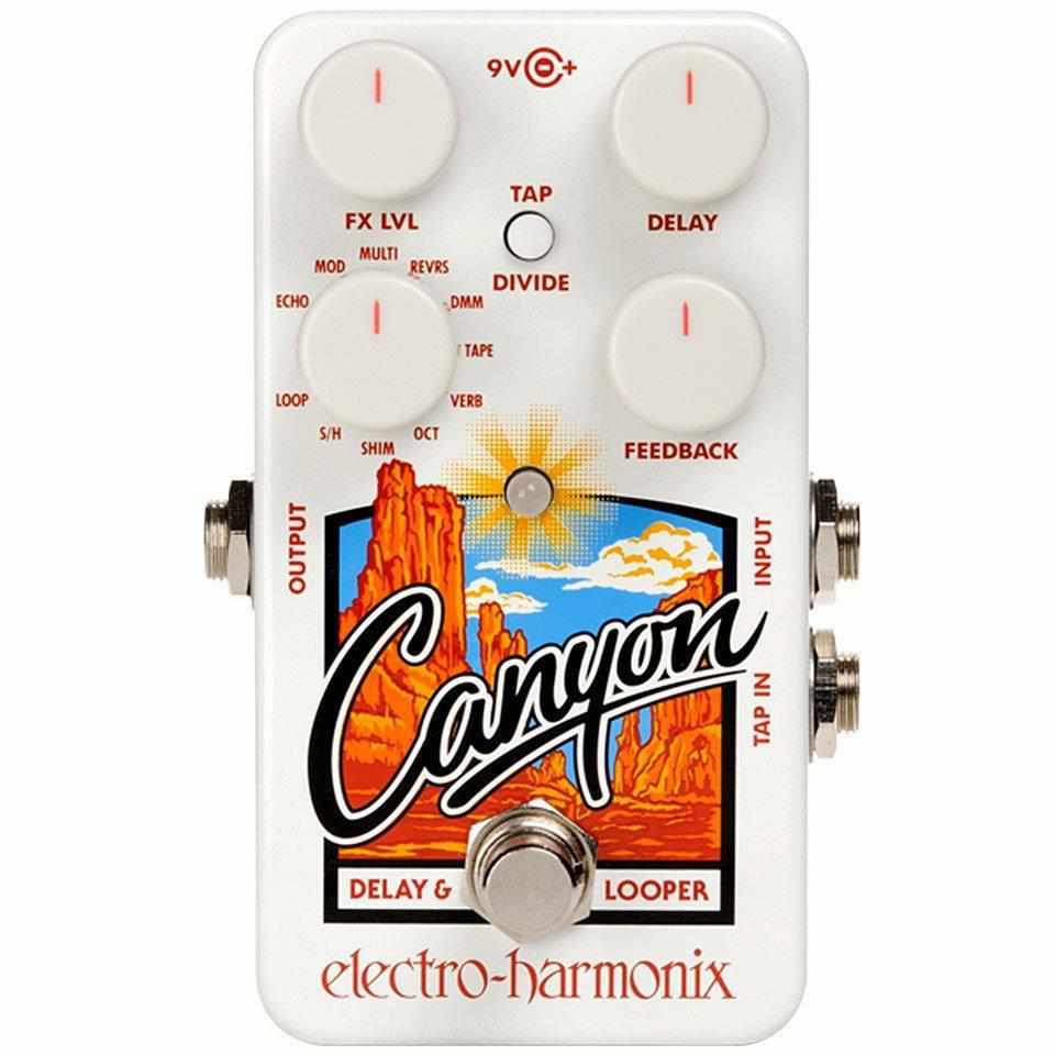 Electro Harmonix Canyon Delay & Looper Pedal-Andy's Music